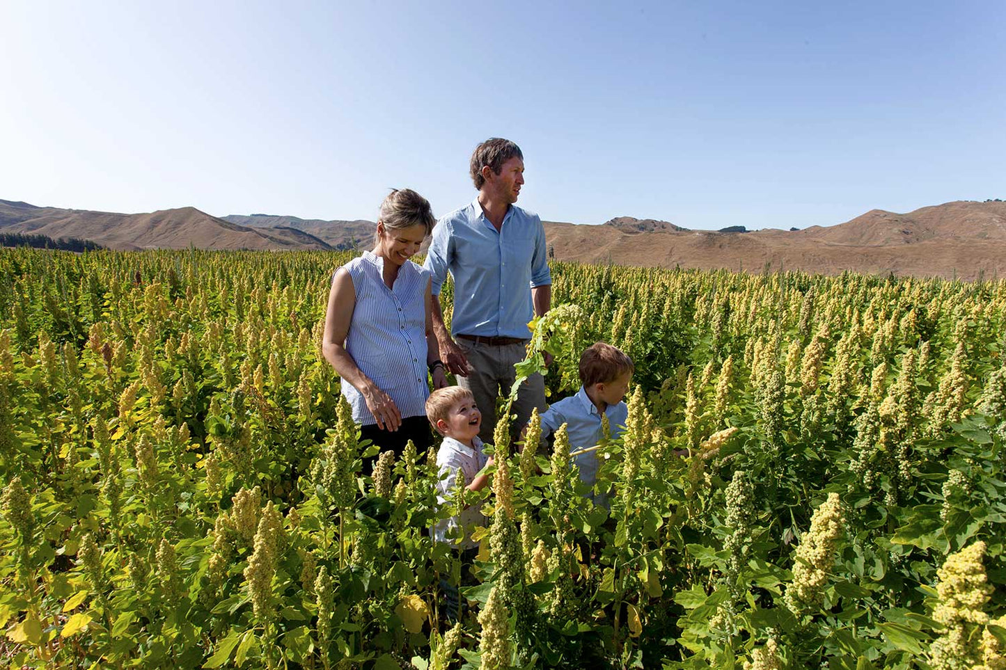 Kiwi Quinoa