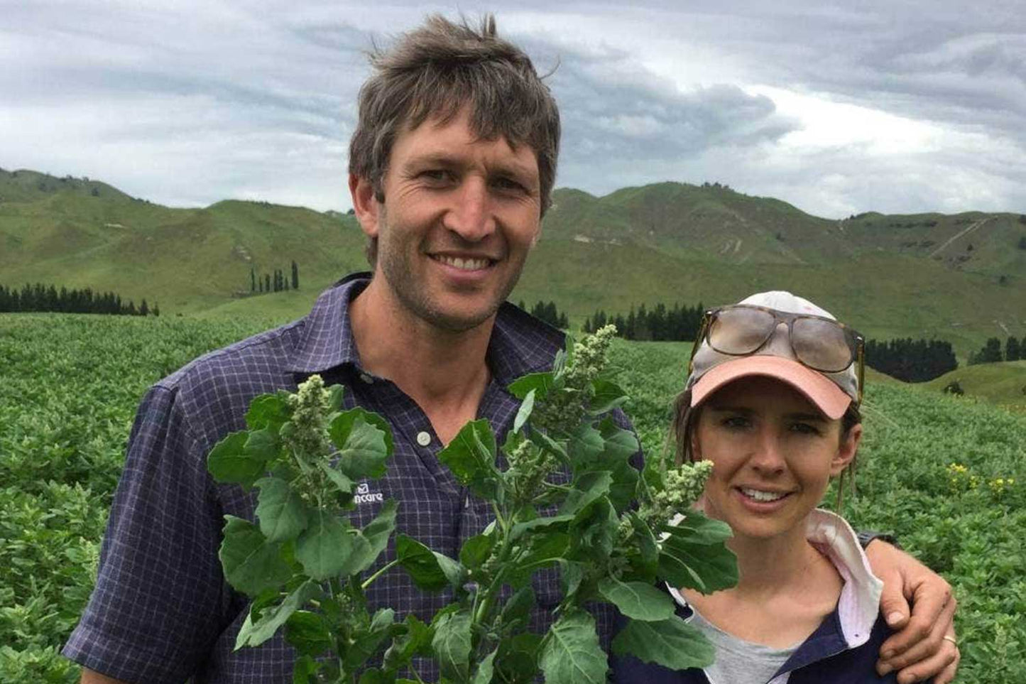 Farmers keen for quinoa on Country Calendar